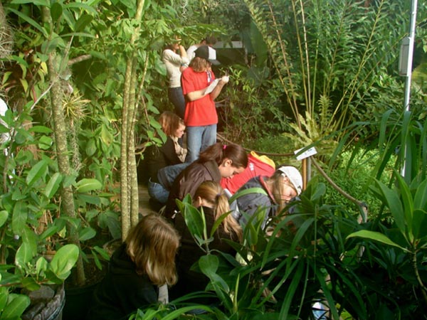 Schüler inmitten großer Grünpflanzen